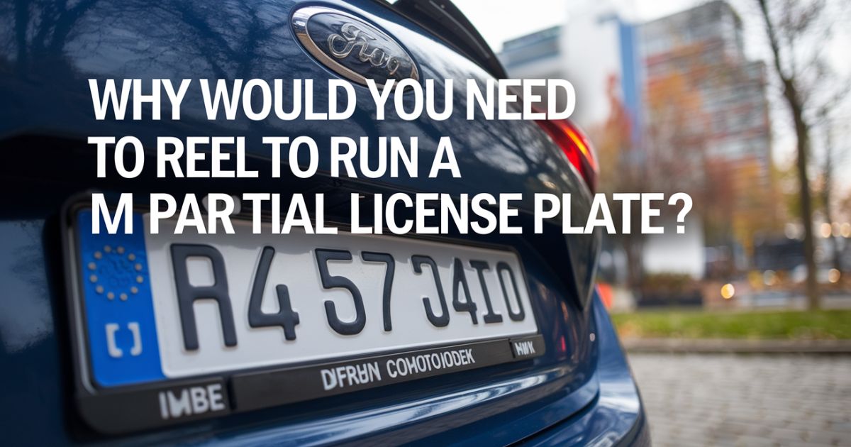 What is a Partial License Plate Number?