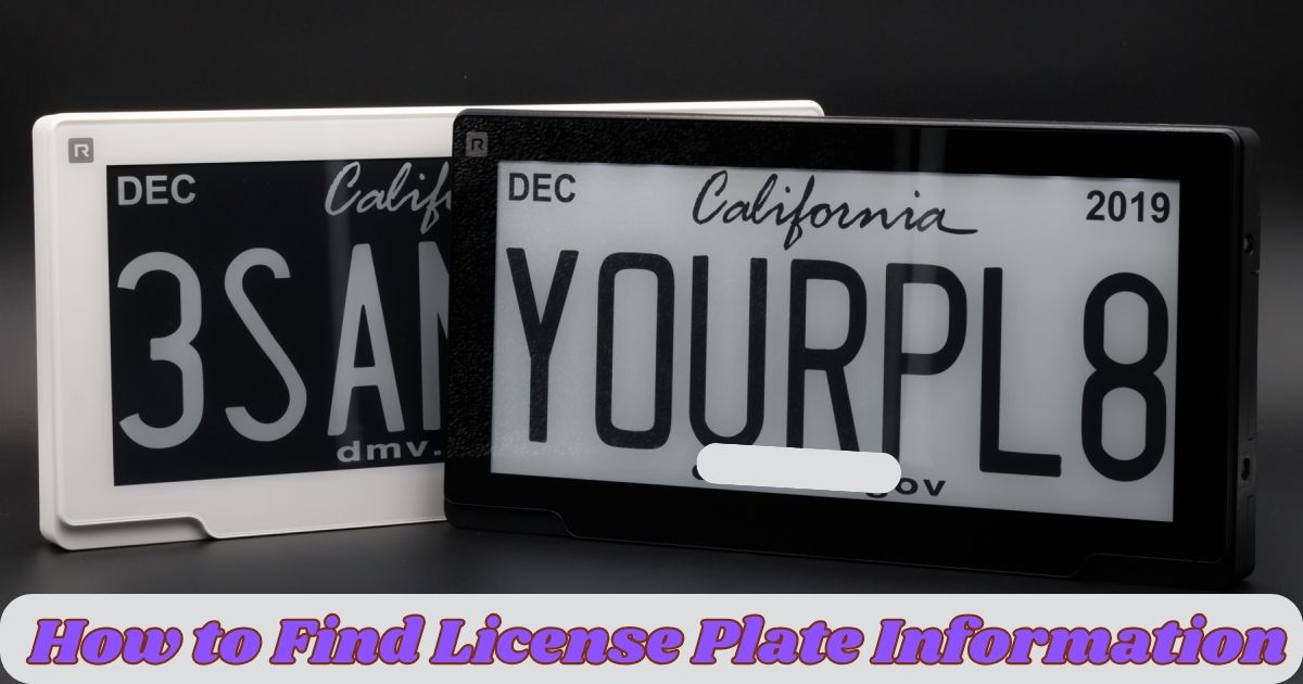 How to Find License Plate Information