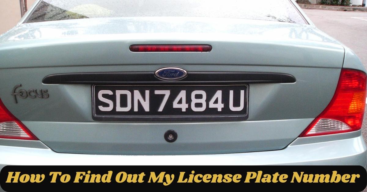 How To Find Out My License Plate Number