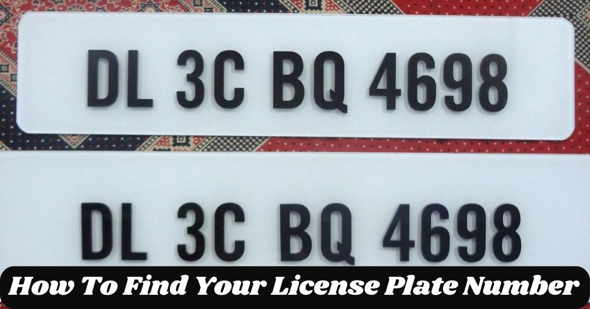 How To Find Your License Plate Number