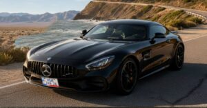 License Plate Replacement in USA: Complete Guide for Vehicle Owners